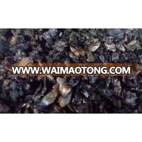 Cashew nut shell_bottom price in Vietnam